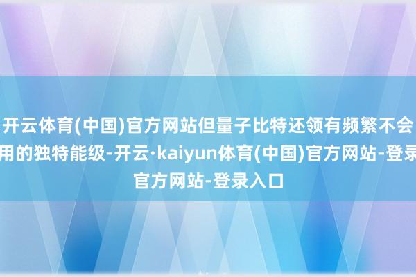开云体育(中国)官方网站但量子比特还领有频繁不会被使用的独特能级-开云·kaiyun体育(中国)官方网站-登录入口