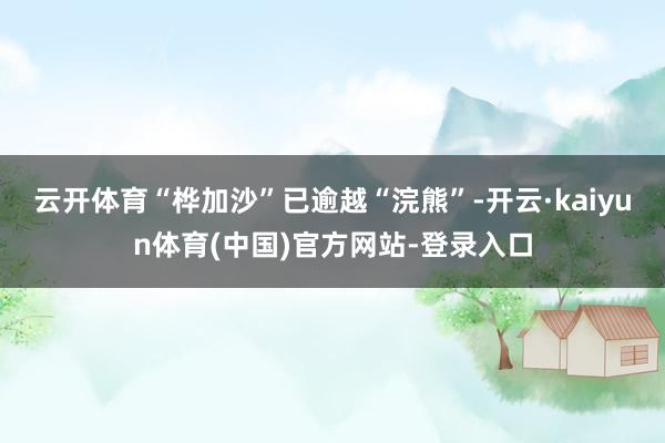 云开体育“桦加沙”已逾越“浣熊”-开云·kaiyun体育(中国)官方网站-登录入口